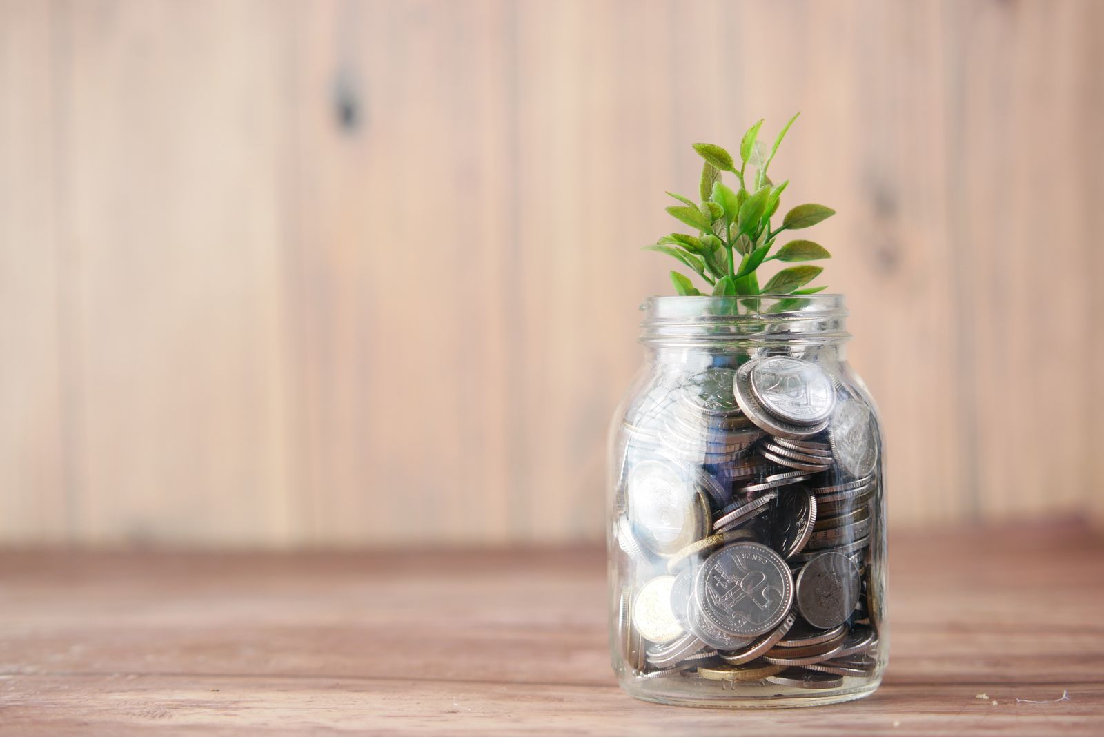 A small plant growing from a jar of coins